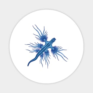 Drawing of a Glaucus Atlanticus Magnet